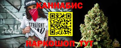 крисы Шебекино