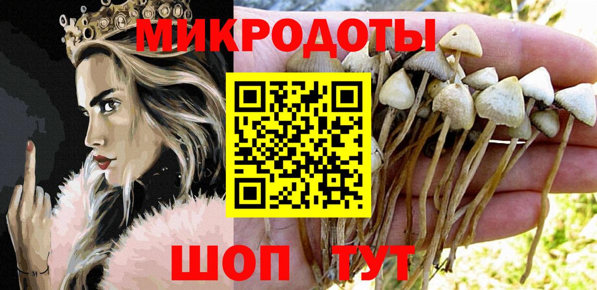 Псилоцибиновые грибы MAGIC MUSHROOMS Кушва